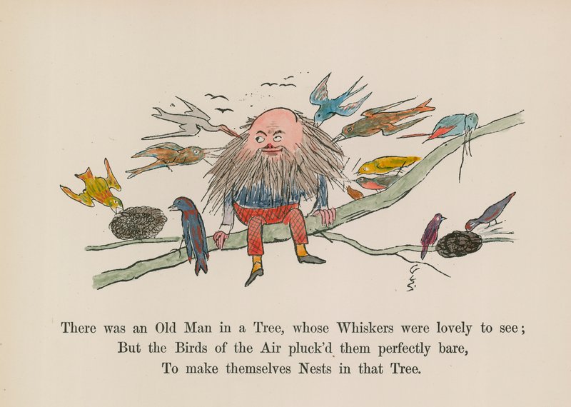 Er was een oude man in een boom, wiens snorren prachtig waren om te zien door Edward (after) Lear