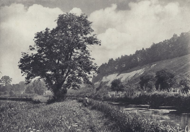 De grote as op de hoofdtransporteur, Leckford door Edward Alfred Barton