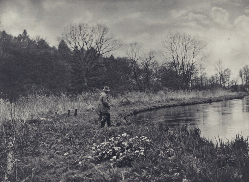 De eerste Kingcups van de lente door Edward Alfred Barton