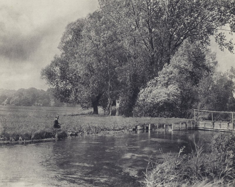 Wind in the Willows, Abbot