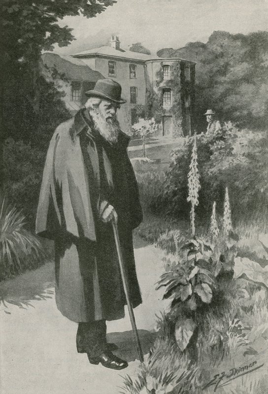 Charles Darwin in zijn tuin bij Down House door Edward Frederick Skinner