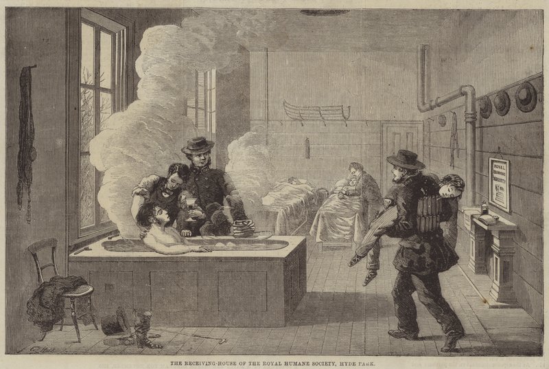 Het Ontvangsthuis van de Koninklijke Humane Society, Hyde Park door Edward Hull