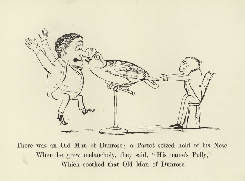 Er was een oude man van Dunrose; een papegaai greep zijn neus door Edward Lear