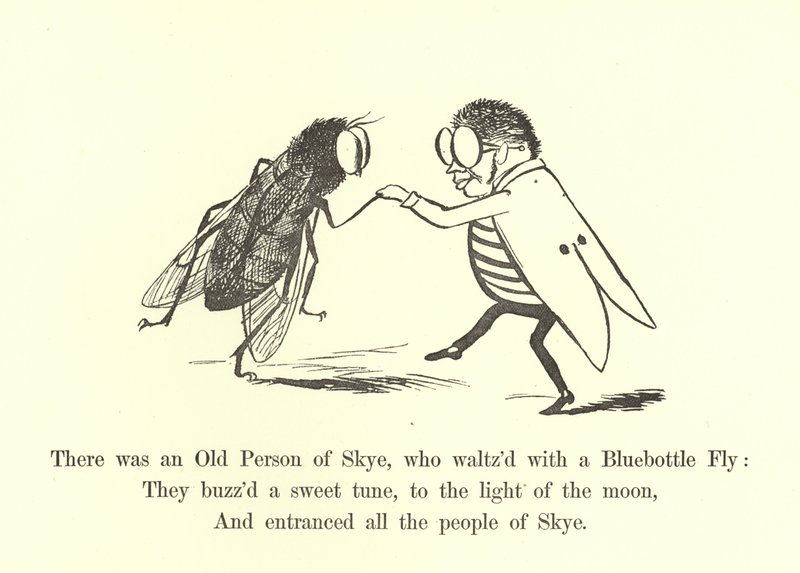 Er was een oude persoon van Skye, die walste met een blauwe flesvlieg door Edward Lear