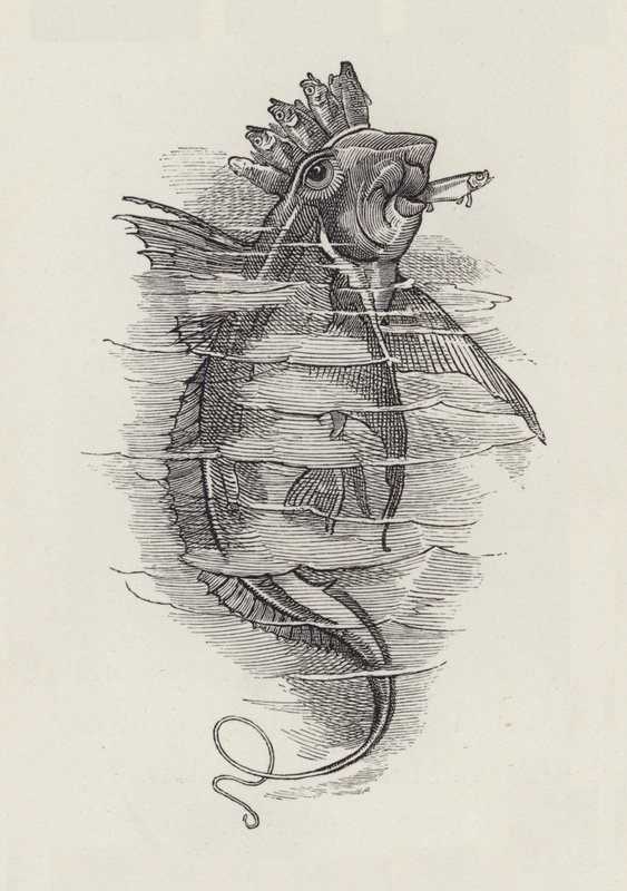 Illustratie voor The Water-Babies door Charles Kingsley door Edward Linley (after) Sambourne