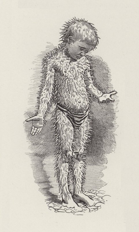 Illustratie voor The Water-Babies door Charles Kingsley door Edward Linley (after) Sambourne
