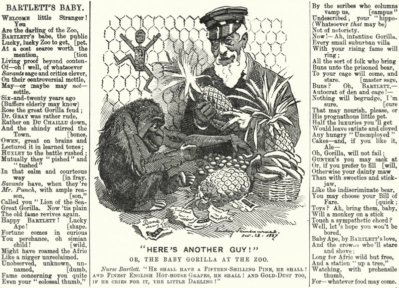 Punch cartoon: Abraham Dee Bartlett, directeur van de London Zoo, en een baby gorilla door Edward Linley (after) Sambourne