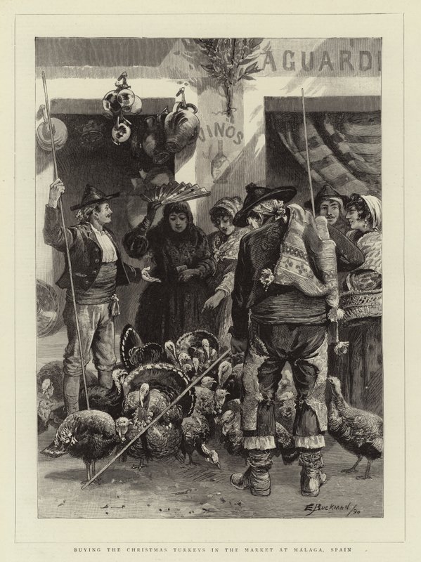Kerstkalkoenen kopen op de markt in Malaga, Spanje door Edwin Buckman