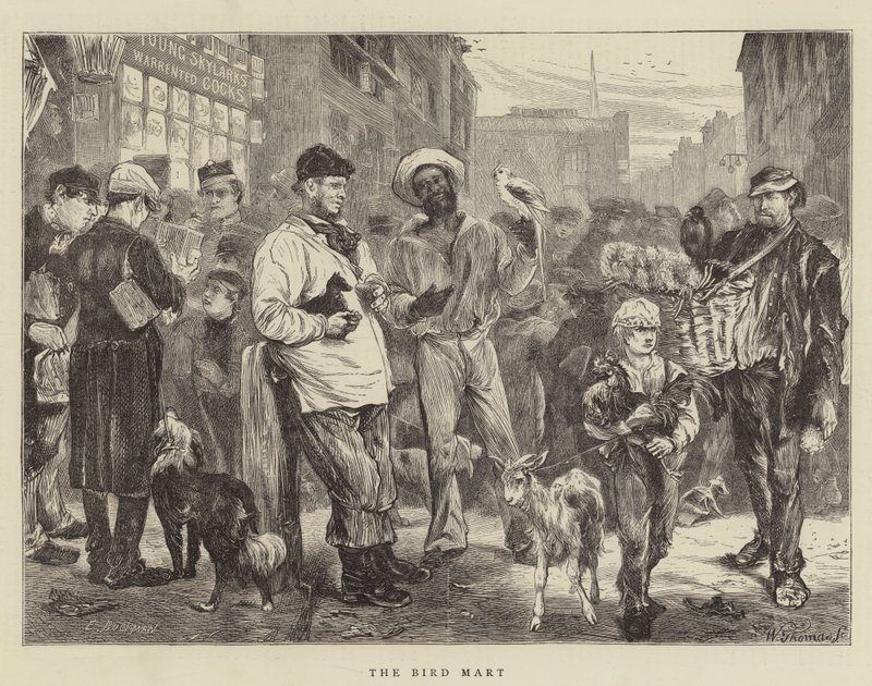 De Vogelmarkt door Edwin Buckman