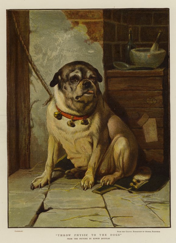 Gooi medicijnen naar de honden door Edwin Douglas