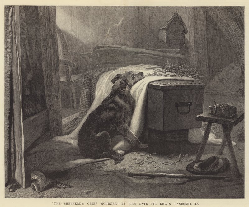 De belangrijkste rouwende van de herder door Edwin Landseer