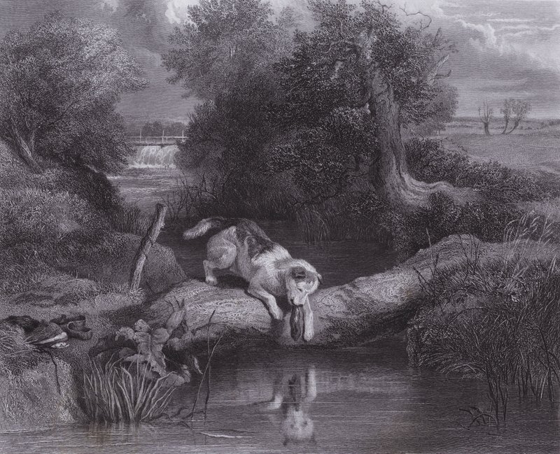 De Hond en de Schaduw door Edwin (after) Landseer