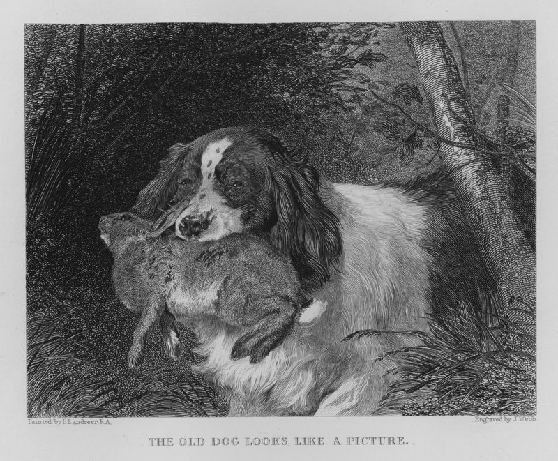 De Oude Hond Lijkt op een Schilderij door Edwin (after) Landseer