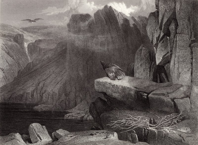 Het Nest van de Adelaar door Edwin Landseer