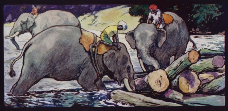 Olifanten die Boomstammen in de Rivier Hanteren door Edwin Noble