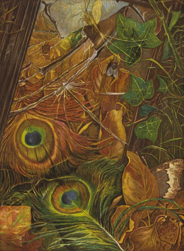 En het kind gaf niets om de spiegel door Eleanor Fortescue Brickdale