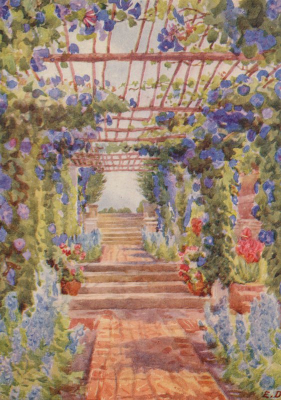 Pergola bedekt met blauwe Ipomoea Learii de Grendel, Tygerberg (kleurenlitho) door Elizabeth Drake