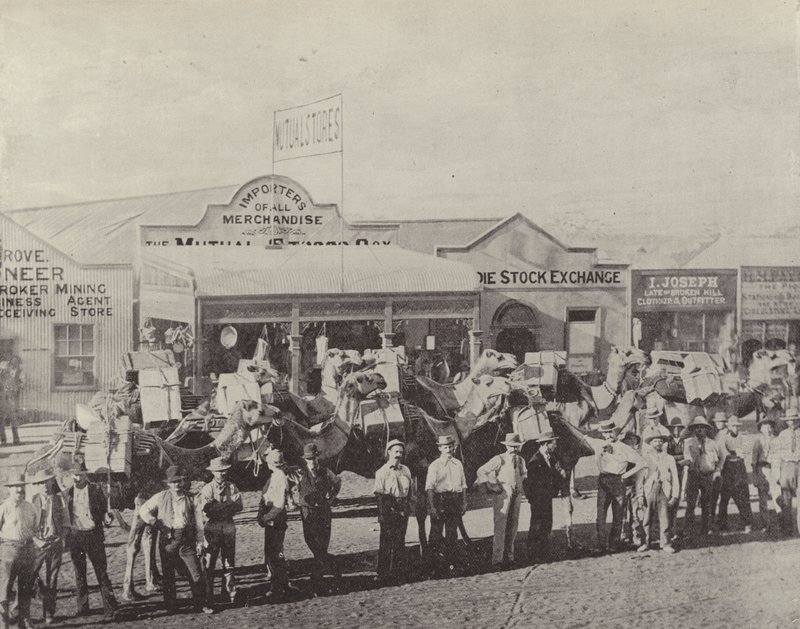 Een kameeltrein, Coolgardie, West-Australië door English Photographer