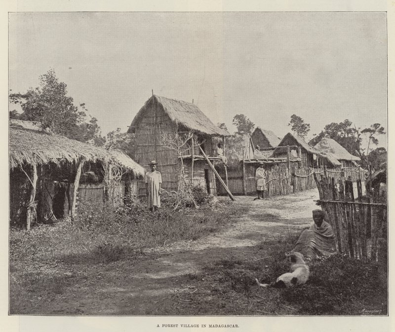 Een bosdorp in Madagaskar door English Photographer