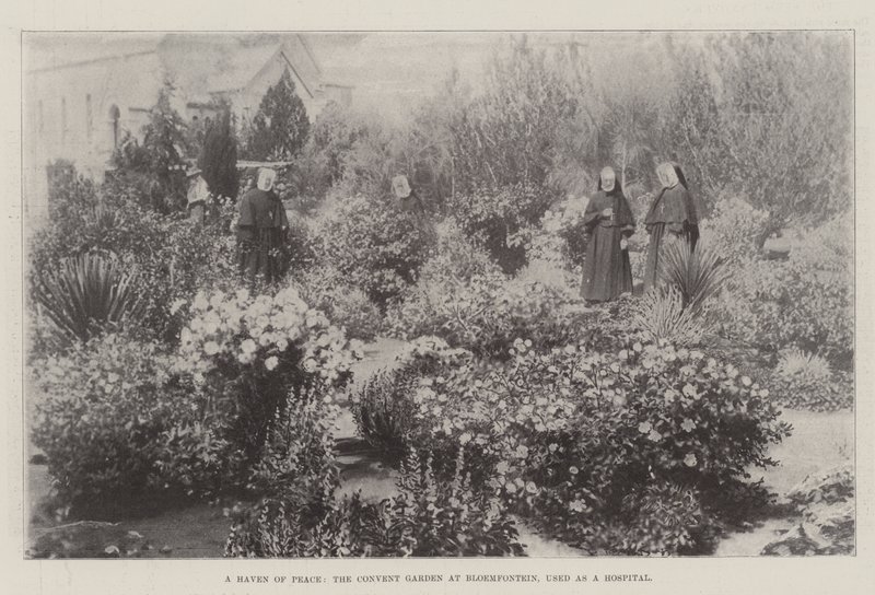 Een toevluchtsoord van vrede, de kloostertuin in Bloemfontein, gebruikt als ziekenhuis door English Photographer
