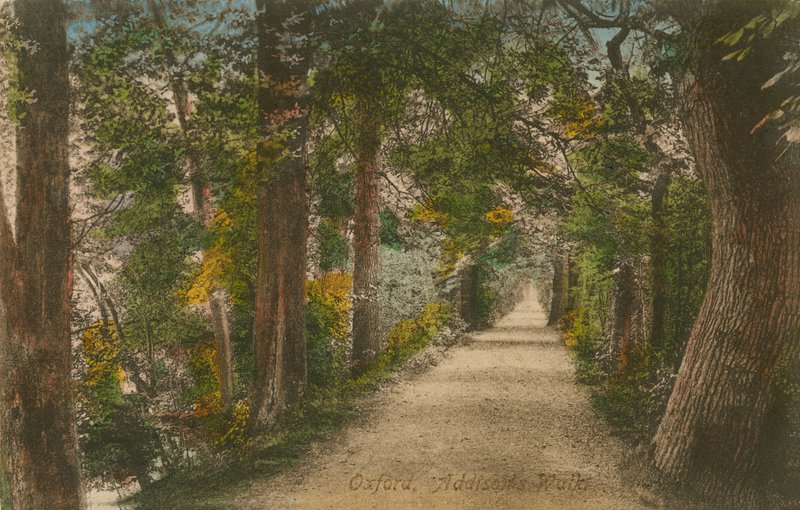 Addisons Walk, Oxford door English Photographer