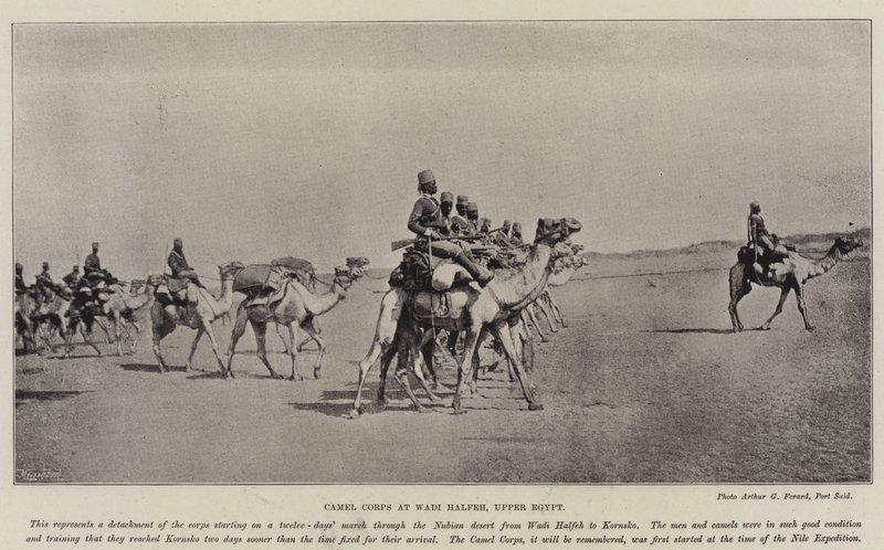 Kameelkorps bij Wadi Halfeh, Opper-Egypte door English Photographer