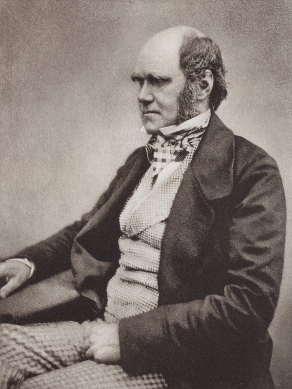 Charles Darwin, portret, ca. 1854, van een foto door Maull & Fox door English Photographer