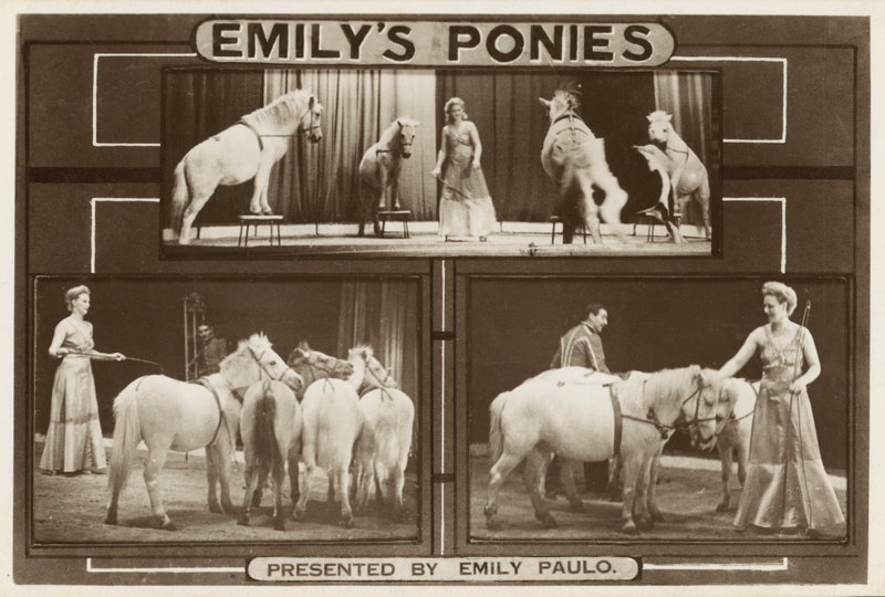 Emily Paulo en haar getrainde pony