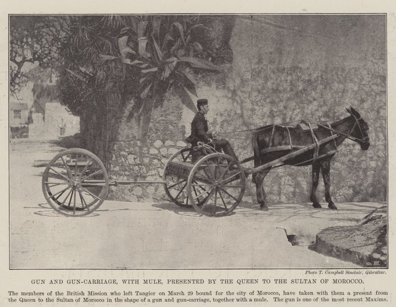 Kanonnen en kanonwagens, met muilezel, geschonken door de koningin aan de sultan van Marokko door English Photographer