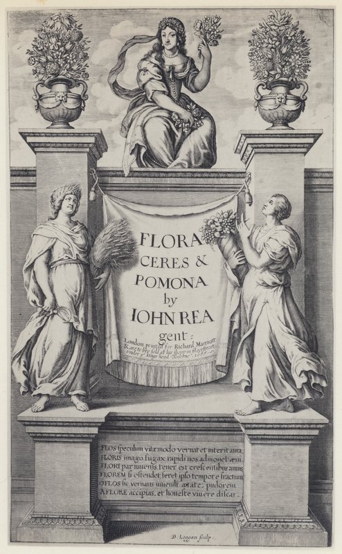 J Rea, Flora, Ceres, en Pomona, R Marriott 1665 (zw/w foto) door English Photographer