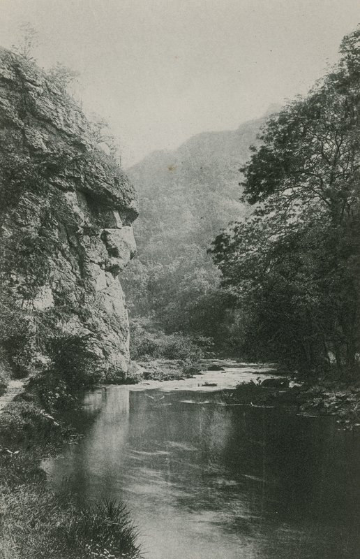 Leeuwengezicht Rots, Dovedale door English Photographer