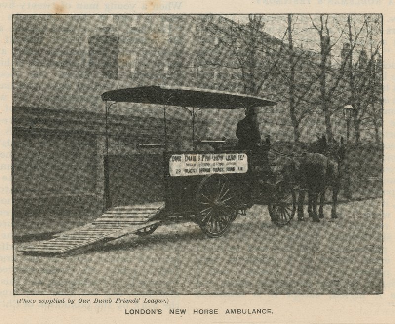 Londens nieuwe paardenambulance door English Photographer