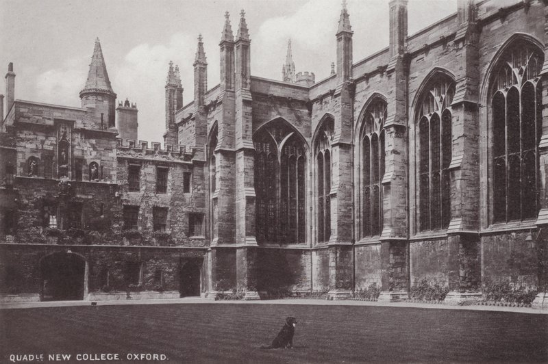 Binnenplaats New College, Oxford door English Photographer