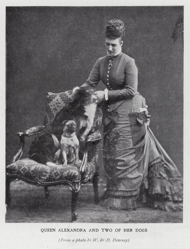 Koningin Alexandra en twee van haar honden door English Photographer