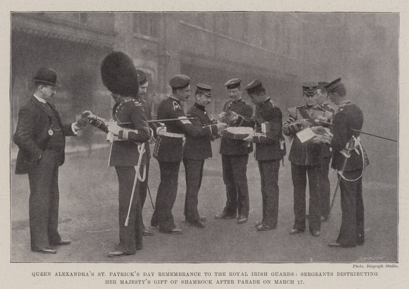 Koningin Alexandras St Patricks Day-herinnering aan de Royal Irish Guards, sergeanten die het geschenk van shamrock van Hare Majesteit uitdelen na de parade op 17 maart door English Photographer