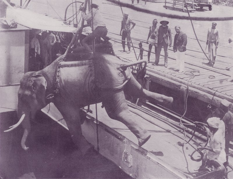 Een Olifant Laden, Rangoon door English Photographer