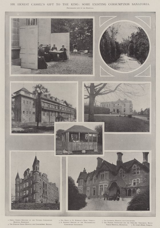 Sir Ernest Cassels gift aan de koning, enkele bestaande sanatoria voor tuberculose door English Photographer
