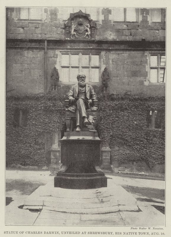 Standbeeld van Charles Darwin, onthuld in Shrewsbury, zijn geboortestad, 10 augustus door English Photographer