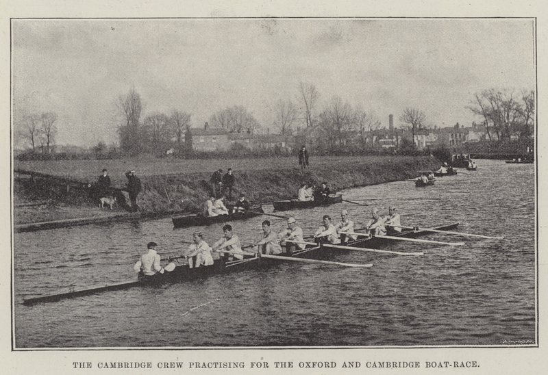 De Cambridge Crew oefent voor de Oxford en Cambridge Bootrace door English Photographer