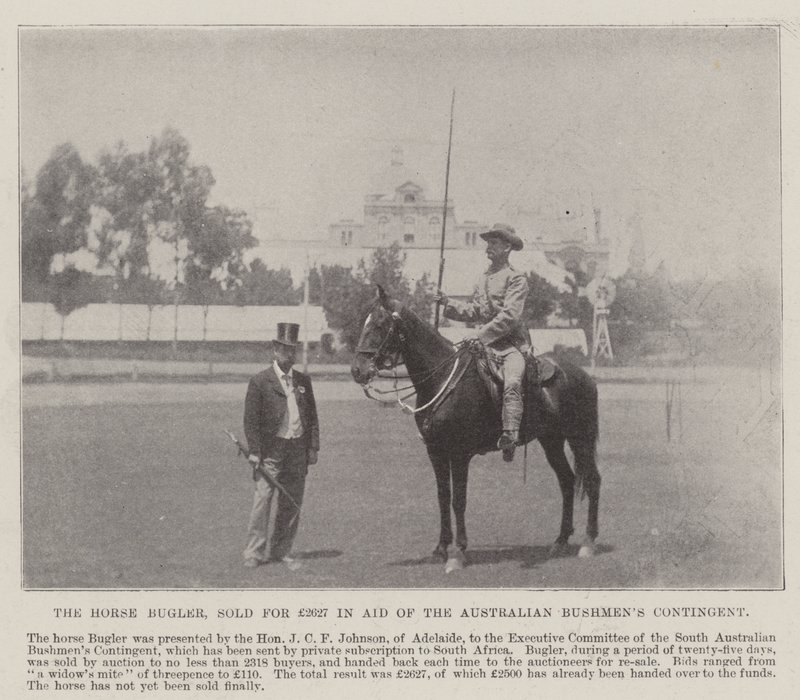 De Paardenbugler, verkocht voor £2627 ten behoeve van het Australische Bushmens Contingent, Adelaide. Illustratie voor The Illustrated London News, 26 mei 1900 door English Photographer