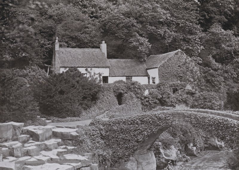 De oude molen, Jesmond Dene door English Photographer