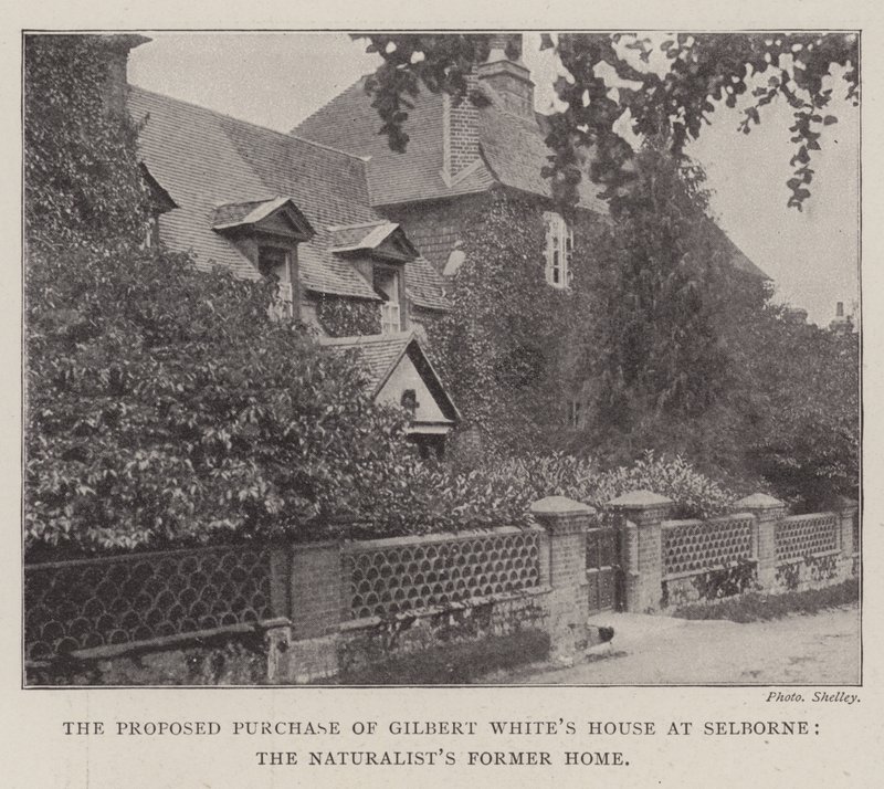 Het Voorgestelde Aankoop van Gilbert Whites Huis in Selborne, het Voormalige Huis van de Natuuronderzoeker door English Photographer