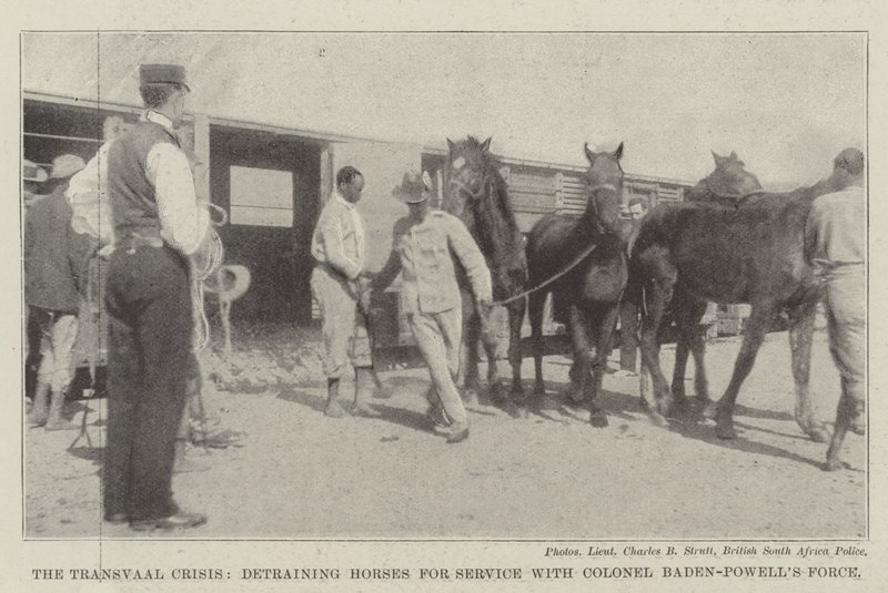 De Transvaal-crisis, het uitladen van paarden voor dienst bij de troepen van kolonel Baden-Powell door English Photographer