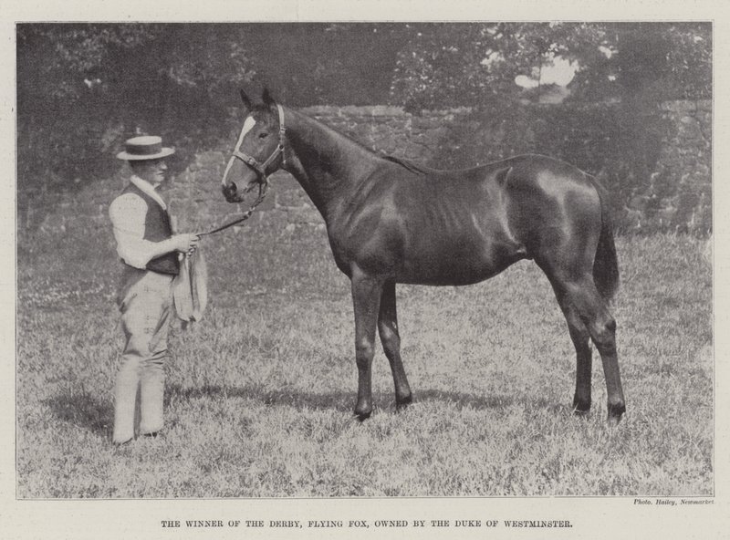 De Winnaar van de Derby, Flying Fox, eigendom van de Hertog van Westminster door English Photographer