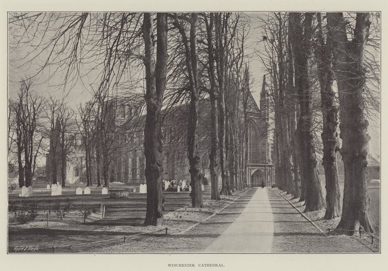 Kathedraal van Winchester door English Photographer