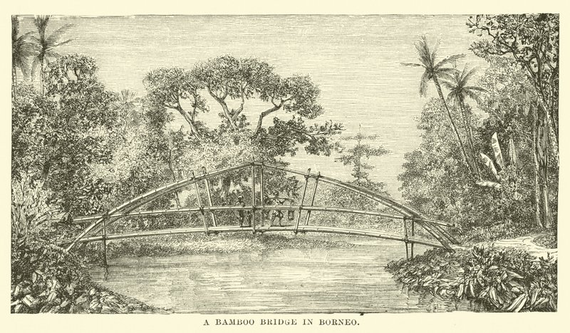 Een Bamboebrug in Borneo door English School
