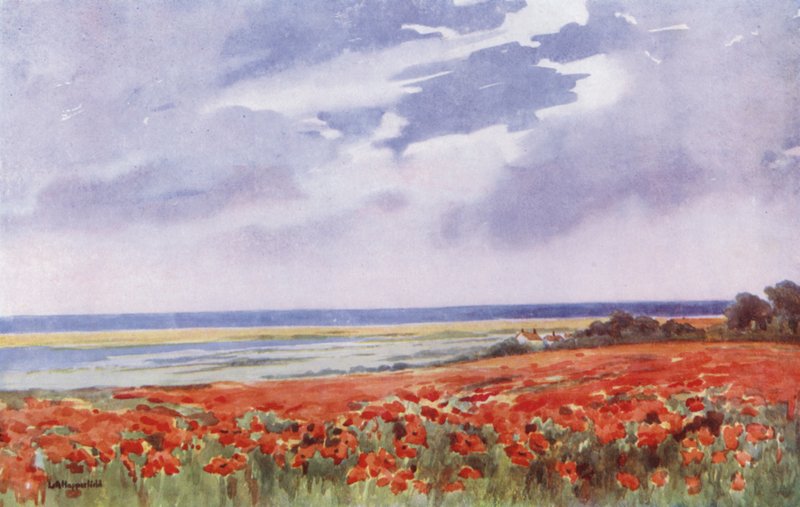 Een veld vol klaprozen (kleurenlitho) door English School