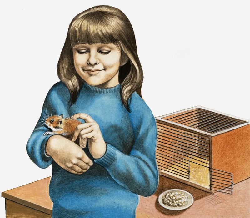 Een meisje en haar hamster door English School