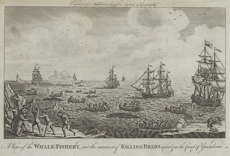 Een uitzicht op de walvisvangst en de manier van beren doden nabij en aan de kust van Groenland door English School