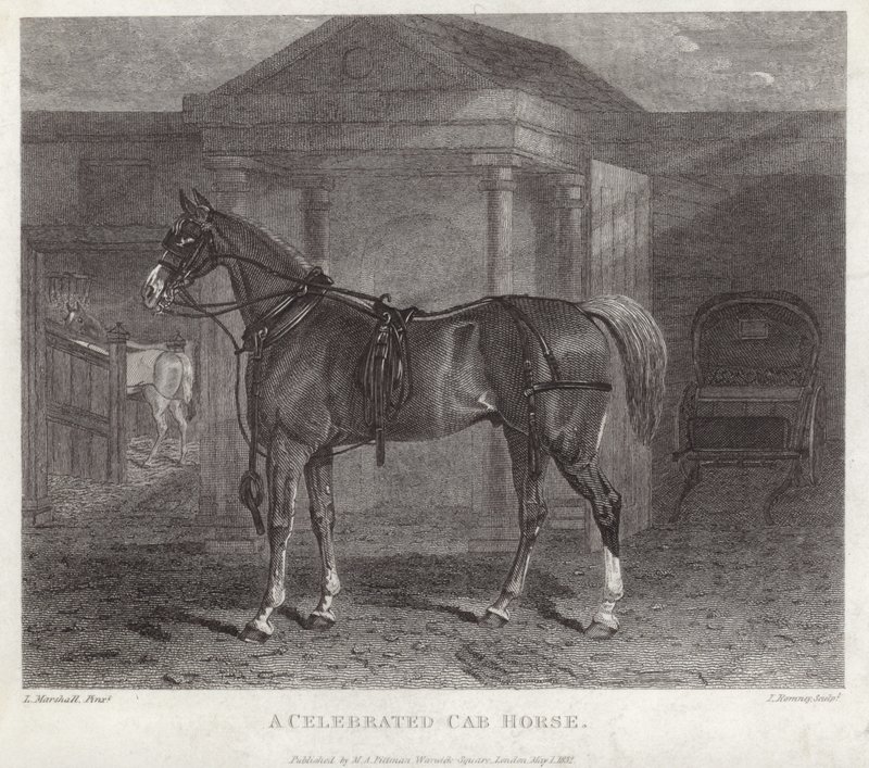 Een beroemde cab paard door English School